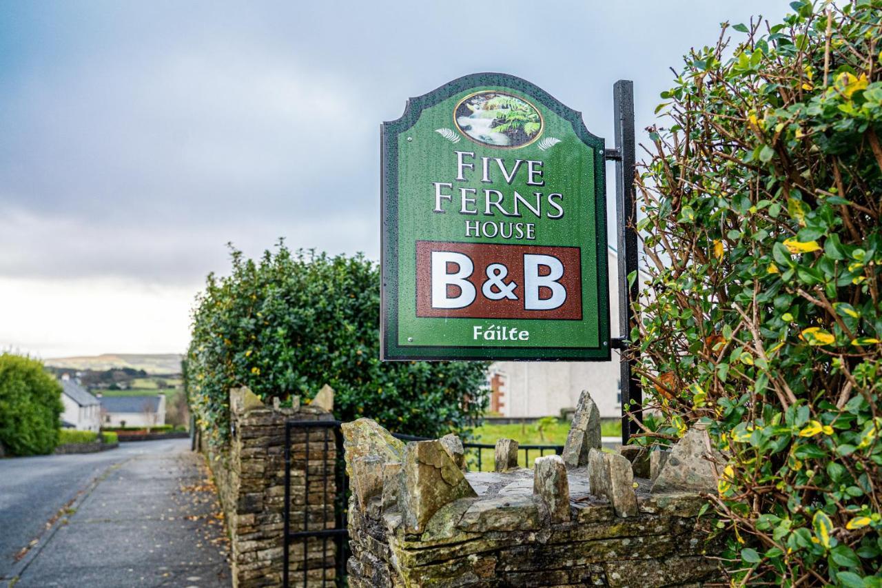 Five Ferns House Bed and Breakfast Westport Exteriör bild